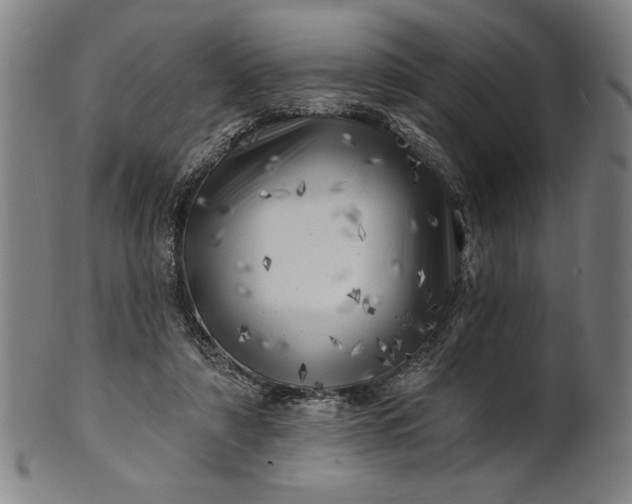 X0000101470306200807211342