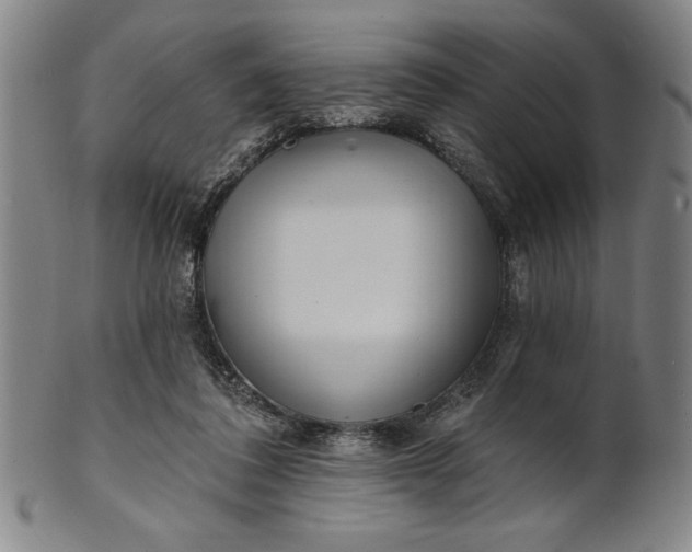 X0000101470308200807211342