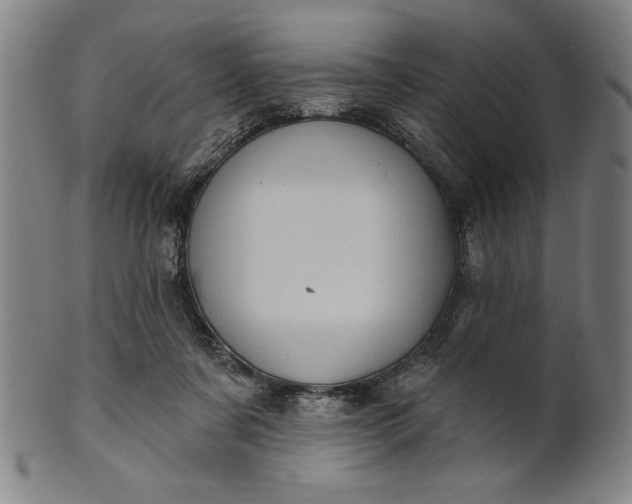 X0000101470311200807211342