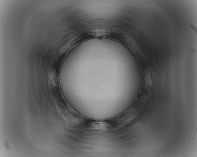 X0000101470316200807211342