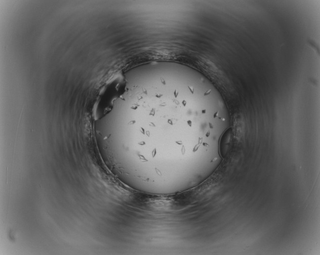 X0000101470318200807211342