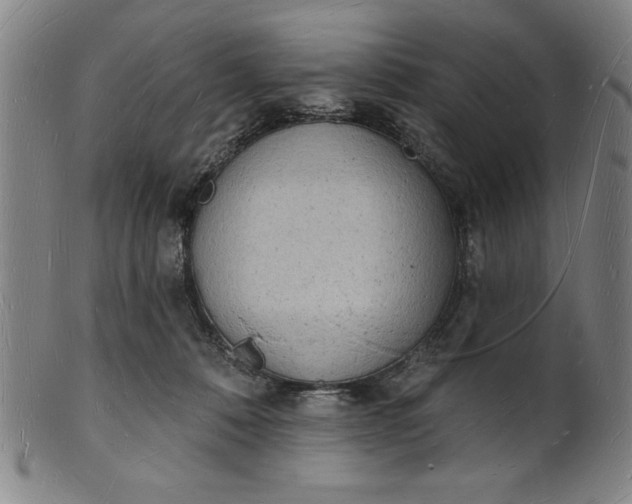 X0000101470320200807211342