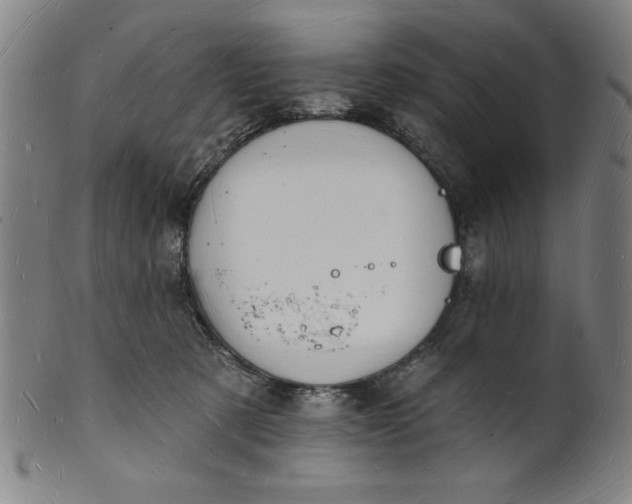 X0000101470321200807211342