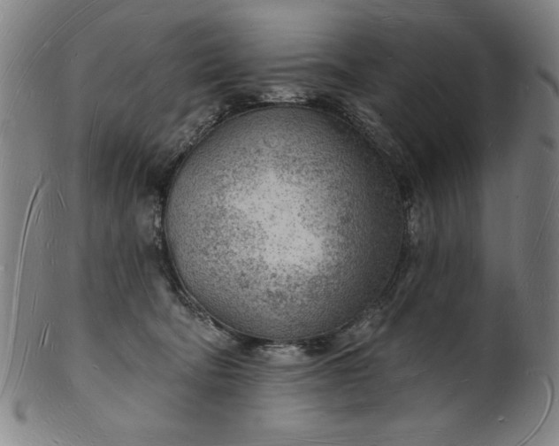 X0000101470322200807211342