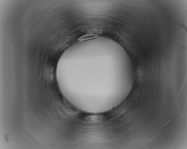 X0000101470323200807211342