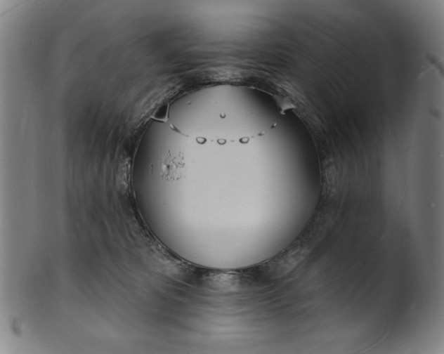 X0000101470325200807211342