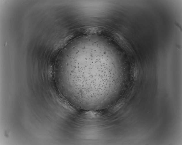 X0000101470326200807211342