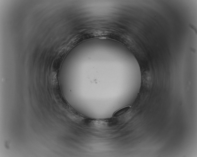 X0000101470327200807211342