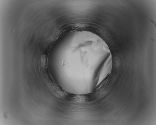 X0000101470328200807211342