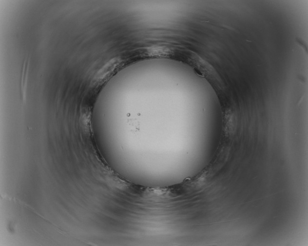 X0000101470329200807211342