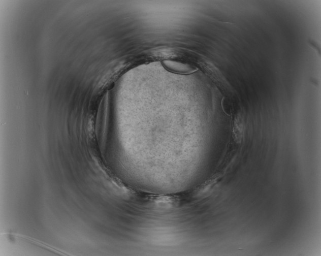 X0000101470330200807211342