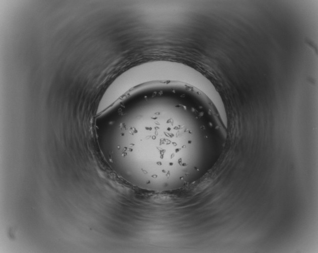 X0000101470332200807211342