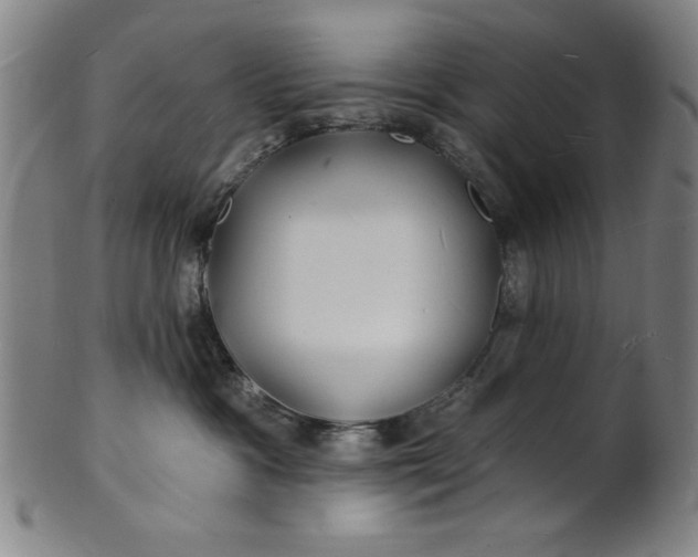 X0000101470333200807211342