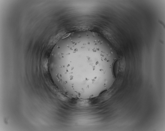 X0000101470334200807211342