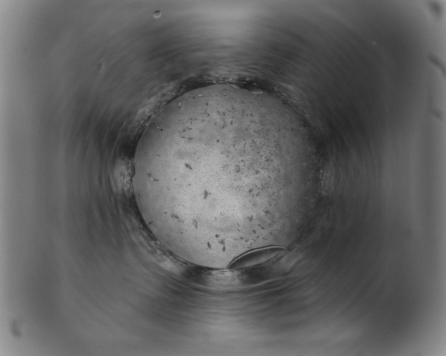 X0000101470335200807211342