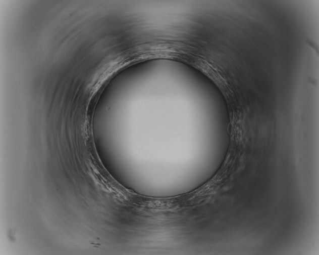 X0000101470338200807211341