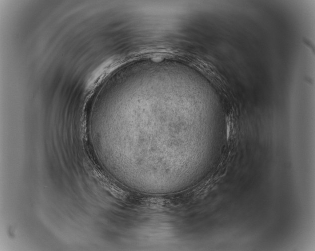 X0000101470339200807211341