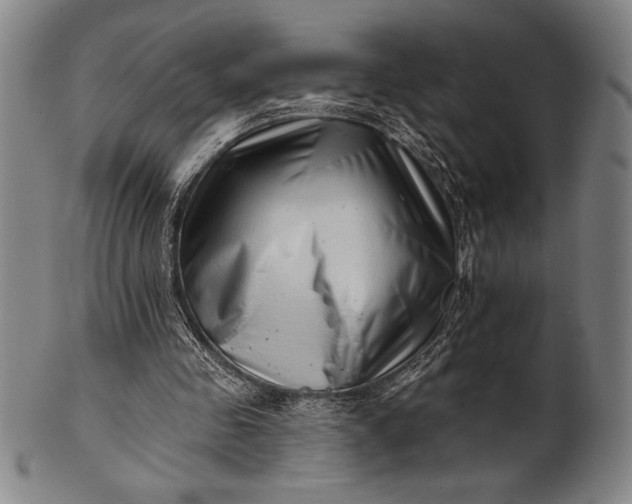 X0000101470341200807211341