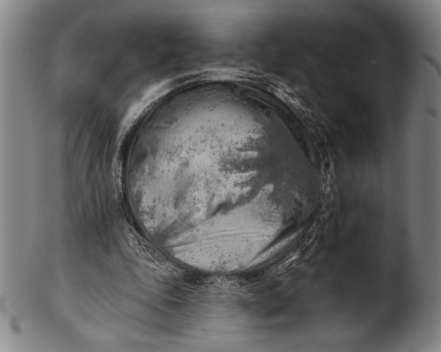 X0000101470343200807211341