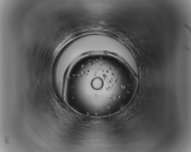 X0000101470344200807211341