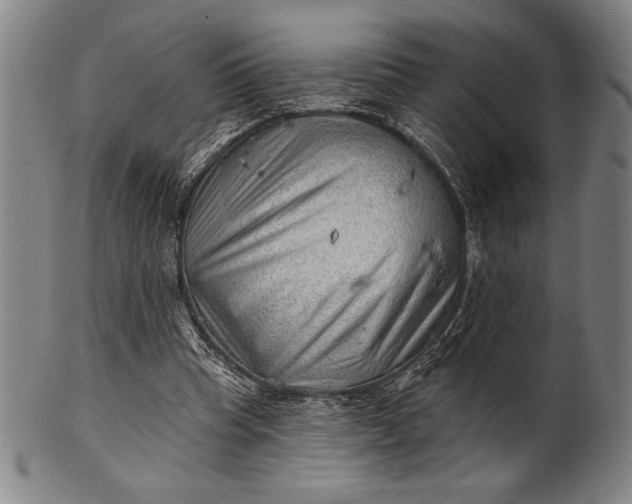 X0000101470345200807211341