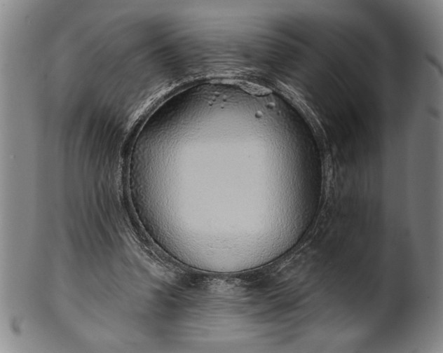 X0000101470346200807211341