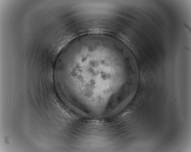 X0000101470347200807211341