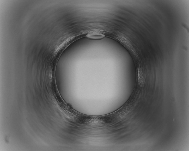 X0000101470348200807211341