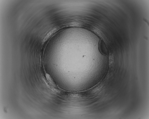 X0000101470349200807211341