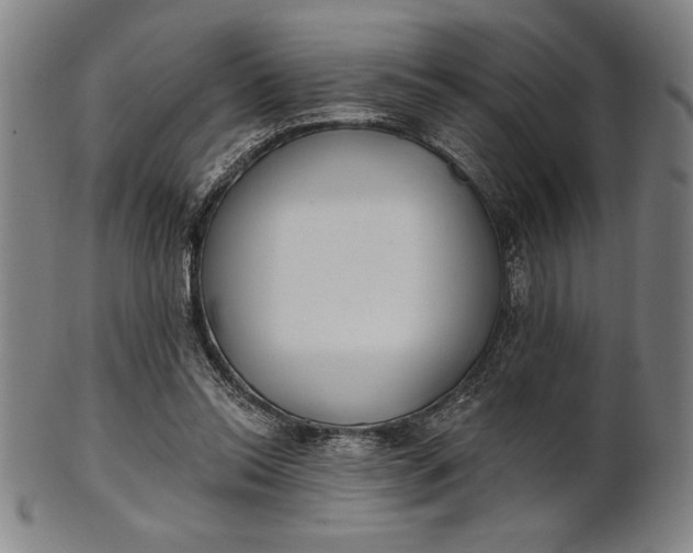 X0000101470350200807211341