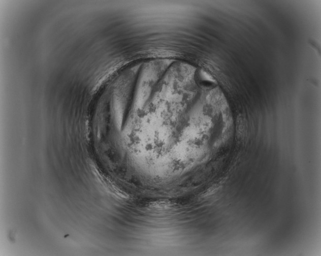 X0000101470351200807211341