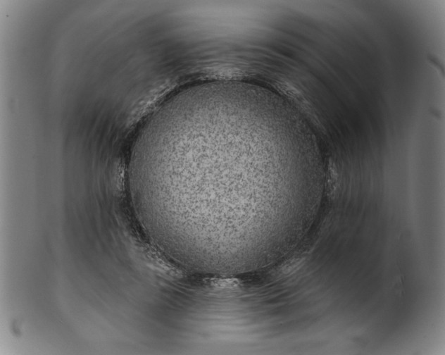 X0000101470355200807211341