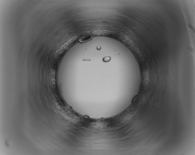 X0000101470356200807211341