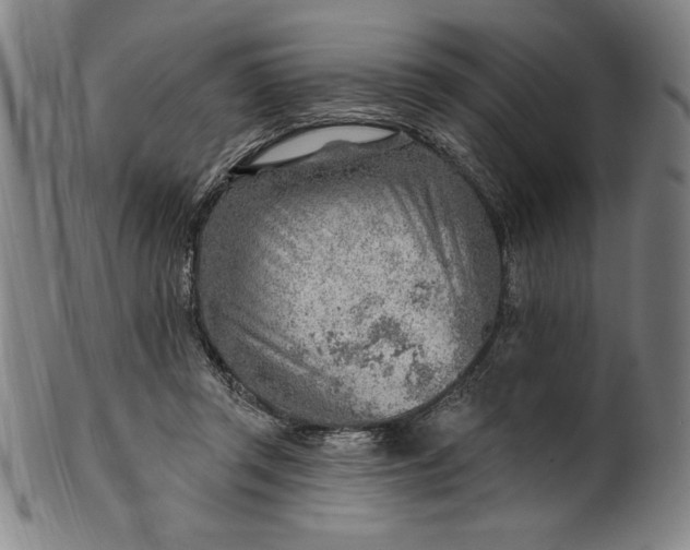 X0000101470357200807211341