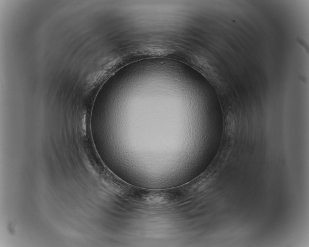 X0000101470358200807211341