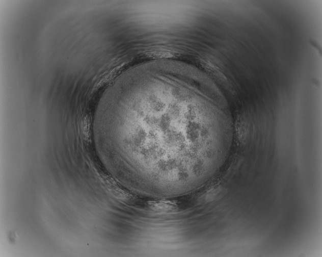 X0000101470359200807211341