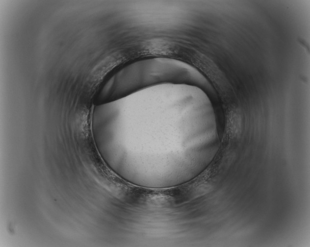 X0000101470360200807211341