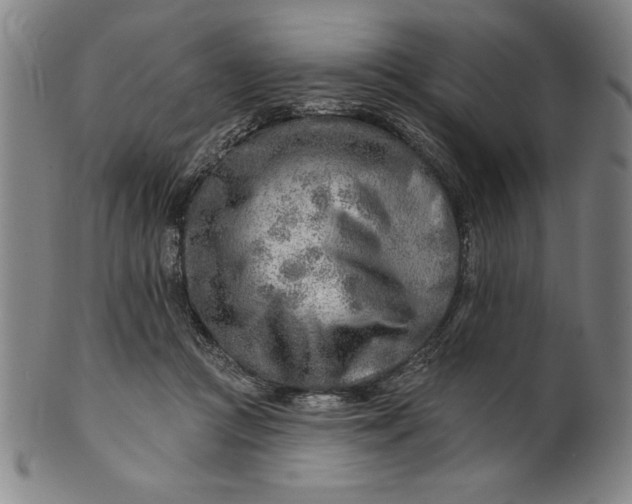 X0000101470361200807211341