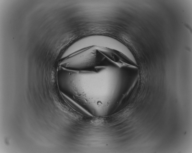 X0000101470362200807211341