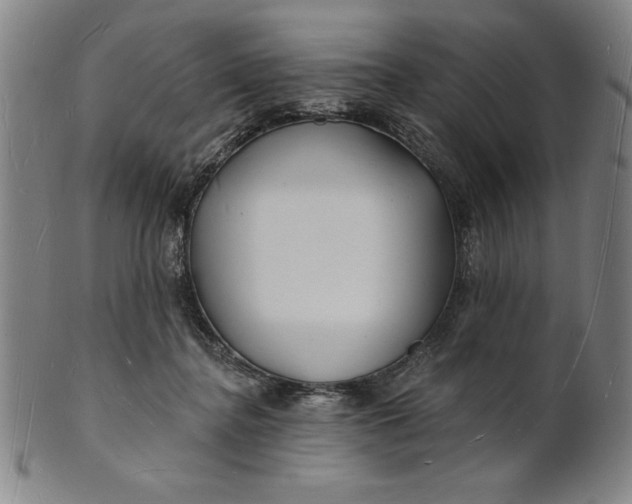 X0000101470364200807211341