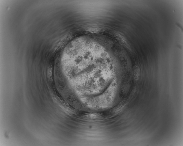 X0000101470365200807211341