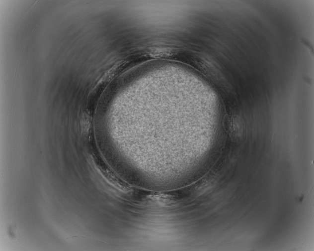 X0000101470367200807211342