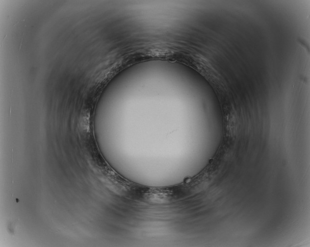 X0000101470368200807211342