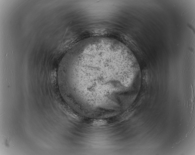 X0000101470369200807211342