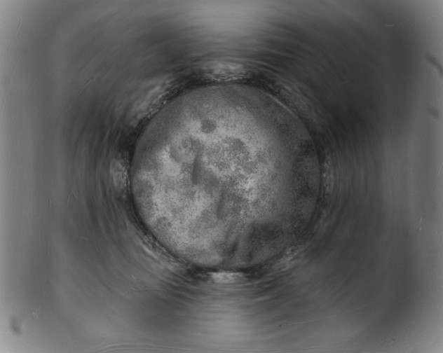 X0000101470371200807211342