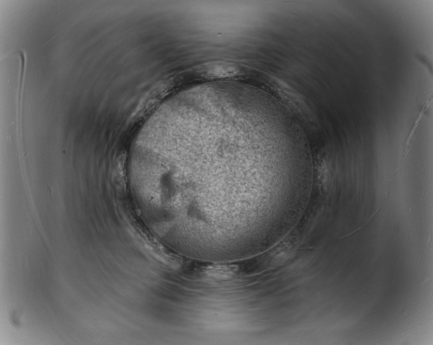 X0000101470373200807211342