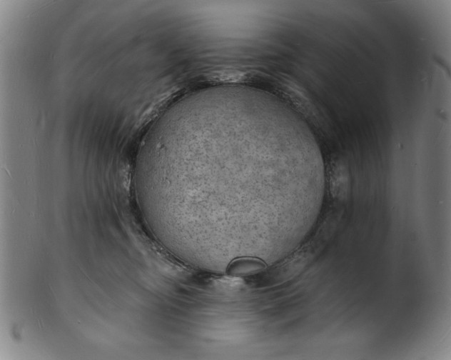 X0000101470374200807211342