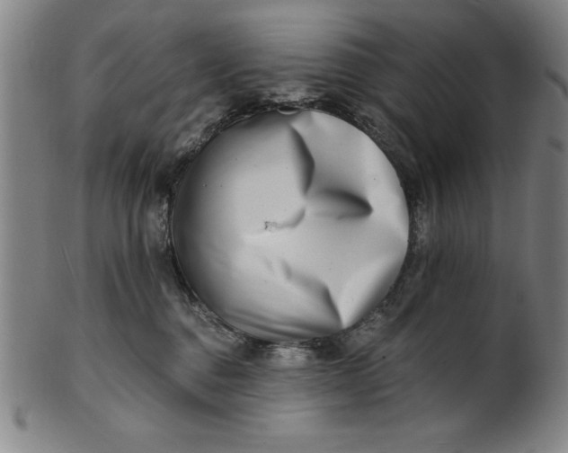 X0000101470376200807211342