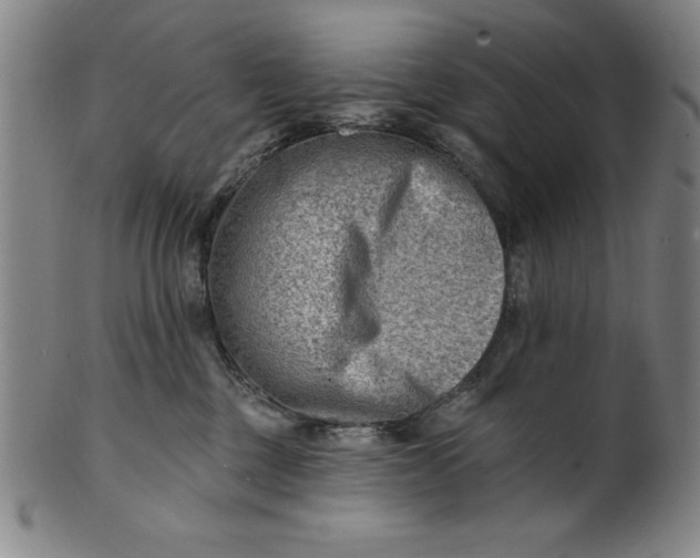 X0000101470377200807211342