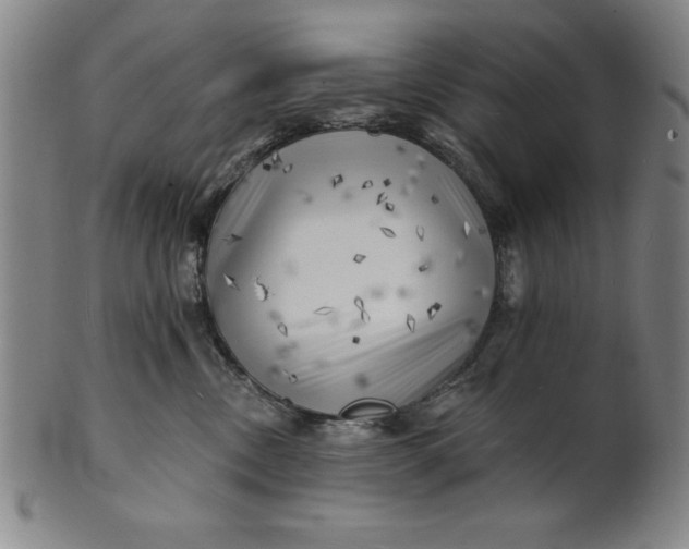 X0000101470378200807211342